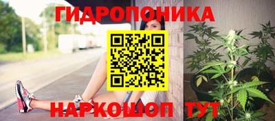 молекула духа Рузаевка