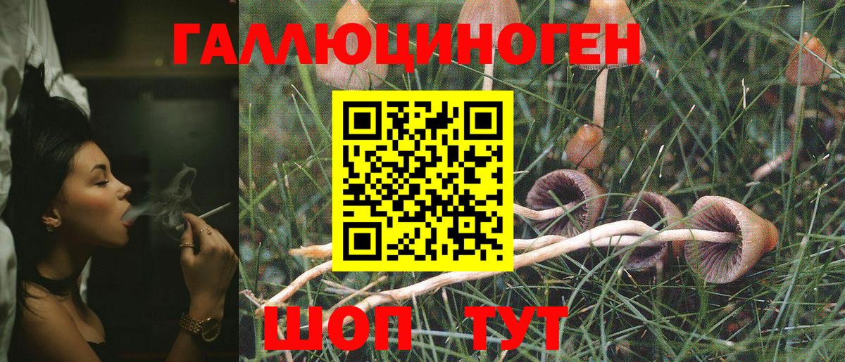 Псилоцибиновые грибы MAGIC MUSHROOMS Осинники