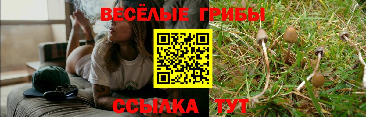 Псилоцибиновые грибы Magic Shrooms  Вход с VPN  наркота  Осинники 